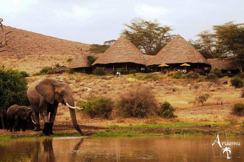 Kenya, Tortilis Camp*****