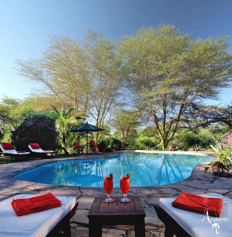 Kenya, Tortilis Camp*****