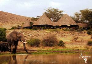 Tortilis Camp Tortilis Camp