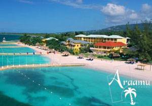 Sandals Montego Bay Sandals Montego Bay